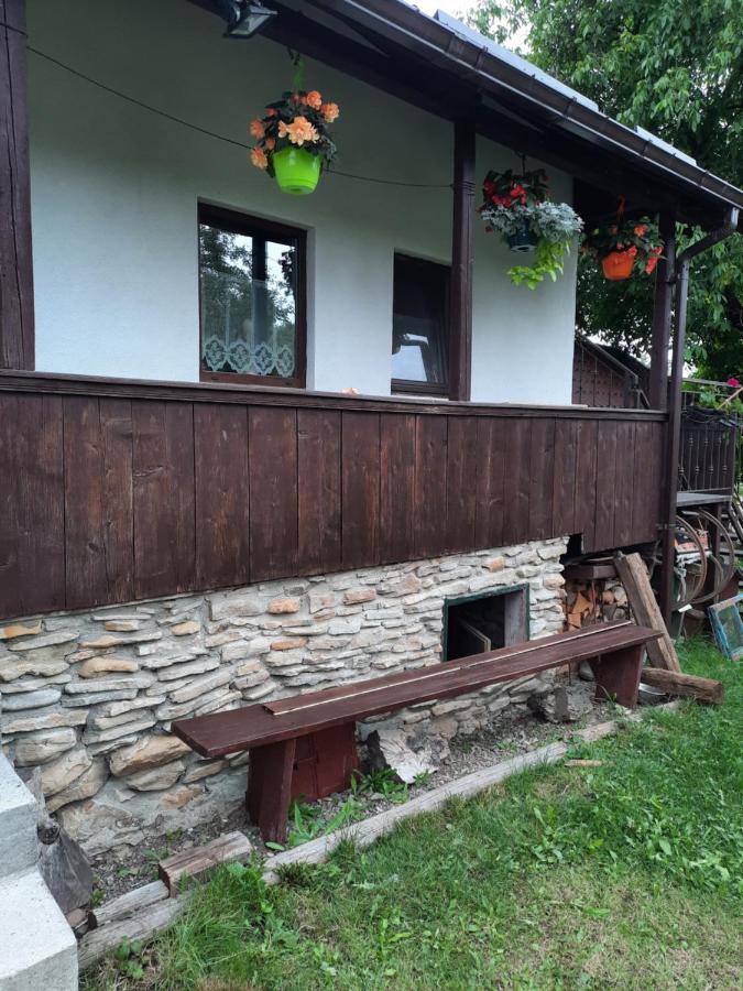 Casa Bunicilor Villa Ciprian Porumbescu Екстериор снимка
