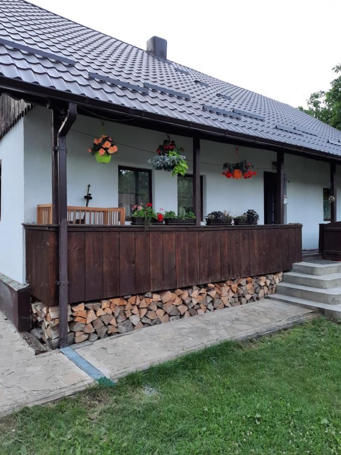Casa Bunicilor Villa Ciprian Porumbescu Екстериор снимка