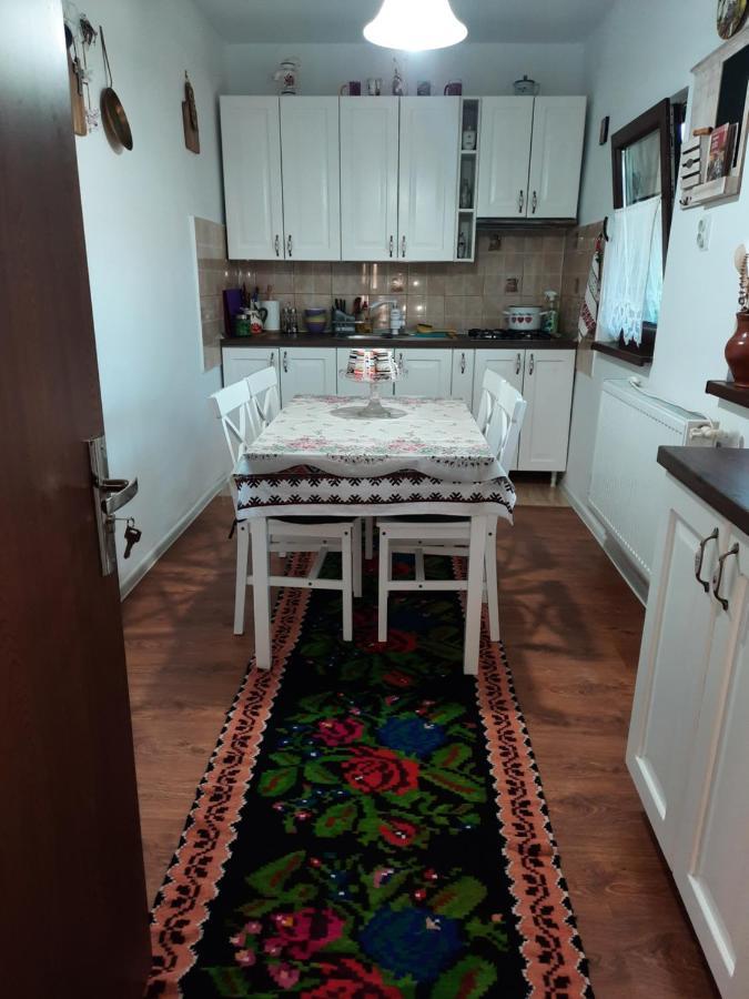 Casa Bunicilor Villa Ciprian Porumbescu Екстериор снимка