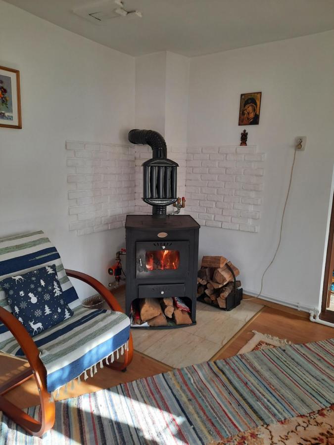 Casa Bunicilor Villa Ciprian Porumbescu Екстериор снимка