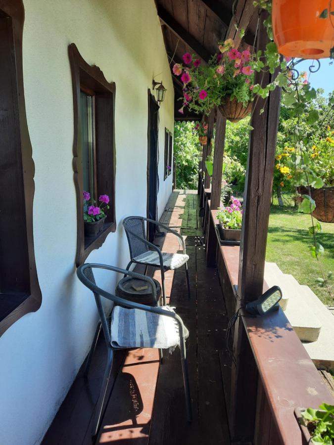 Casa Bunicilor Villa Ciprian Porumbescu Екстериор снимка