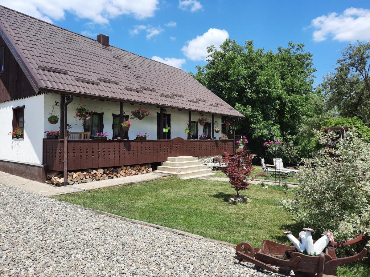 Casa Bunicilor Villa Ciprian Porumbescu Екстериор снимка