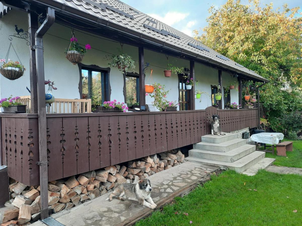 Casa Bunicilor Villa Ciprian Porumbescu Екстериор снимка