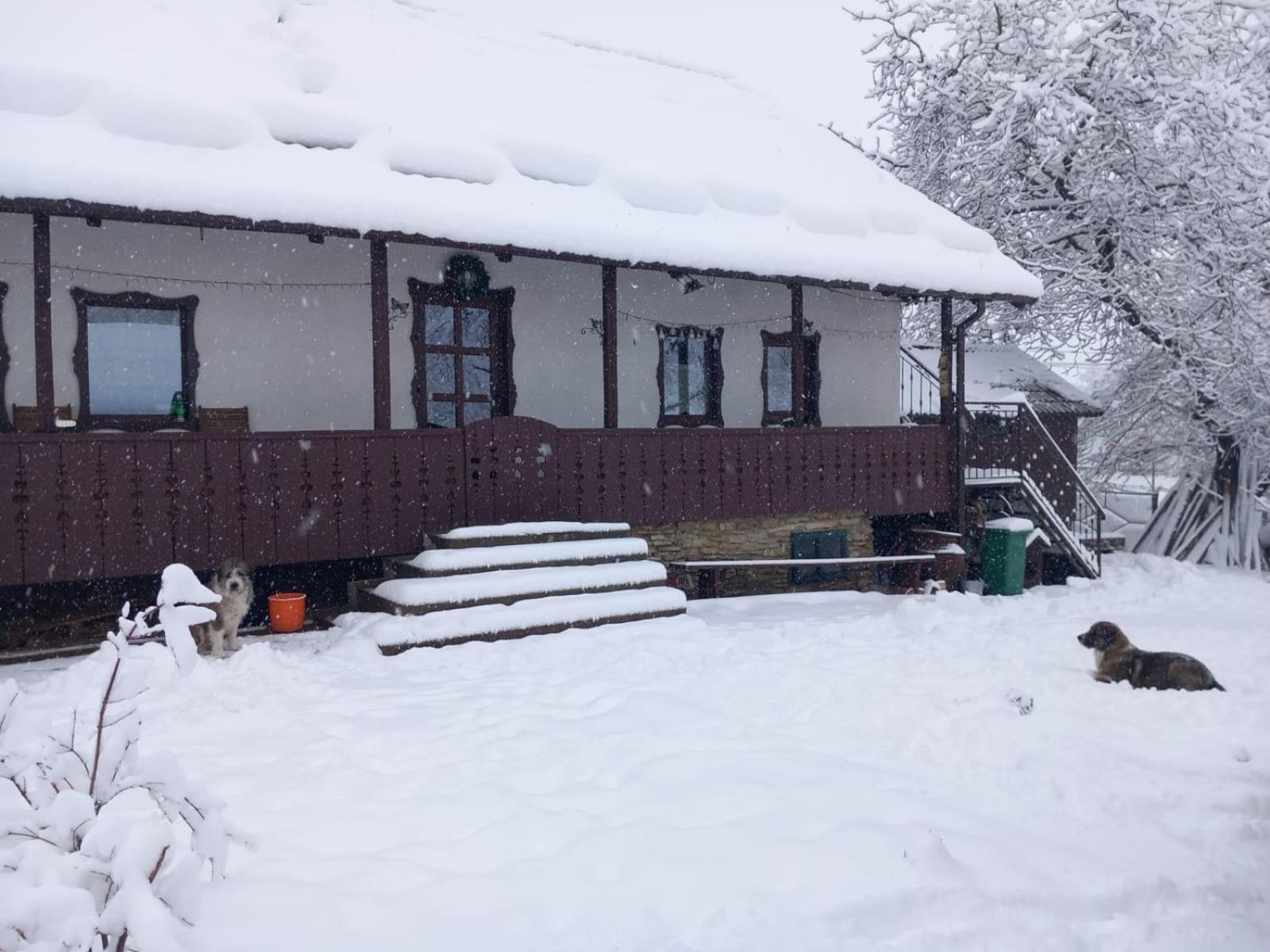 Casa Bunicilor Villa Ciprian Porumbescu Екстериор снимка