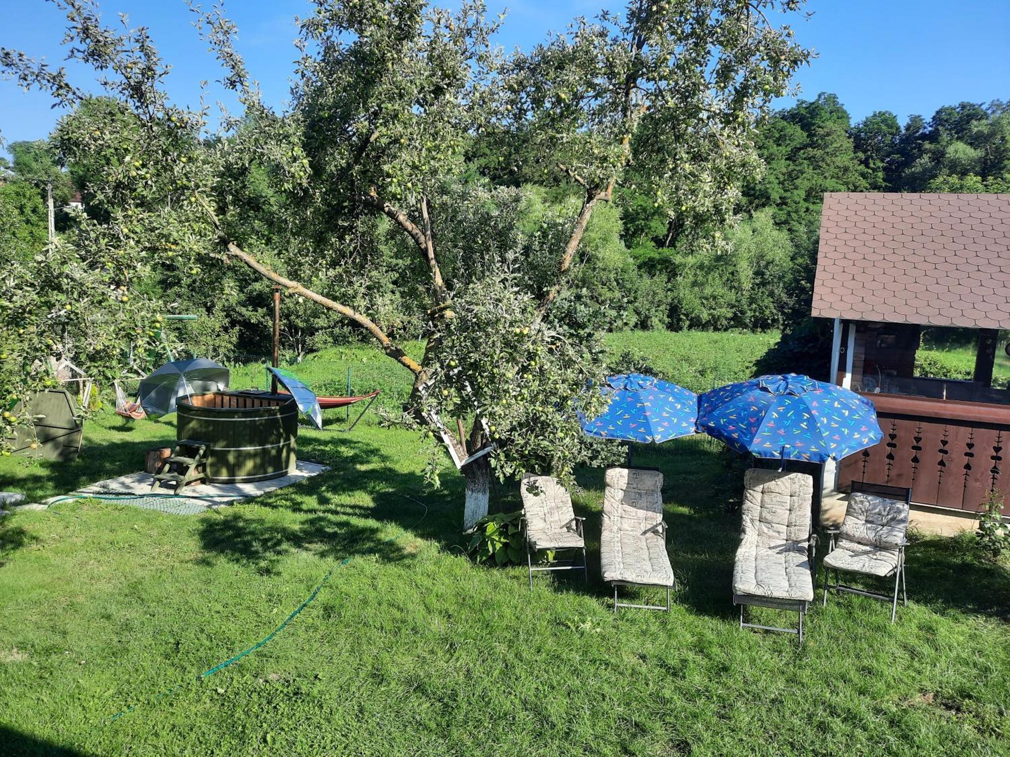 Casa Bunicilor Villa Ciprian Porumbescu Екстериор снимка